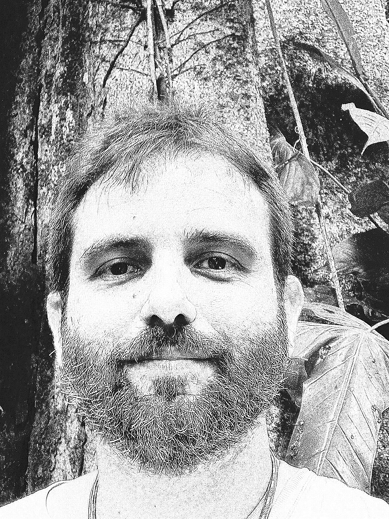 Foto de Ricardo Perdiz, à frente de uma árvore em uma floresta equatoriana em julho de 2023.